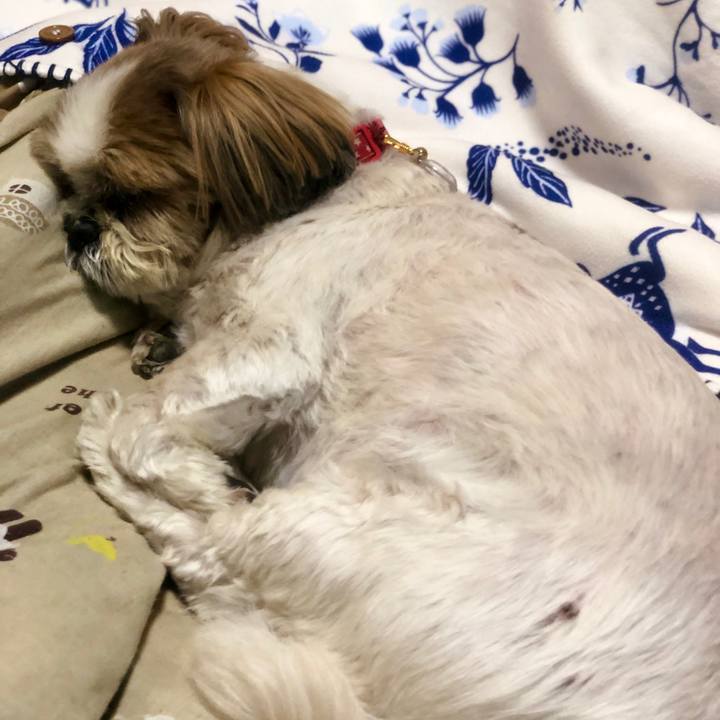 7f52603b 8293 4170 895b 0c98e5e70631 1584774787322