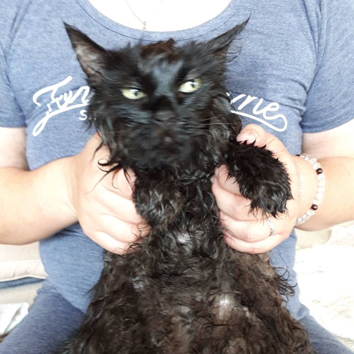 7f526ec6 405b 4d89 92cb 05187186e7c8 1532574479467