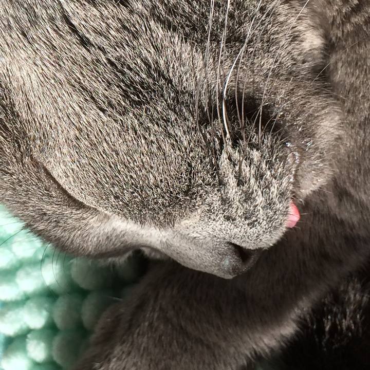 7f529c06 0c83 41f6 a567 5195bc86b006 1513479437027