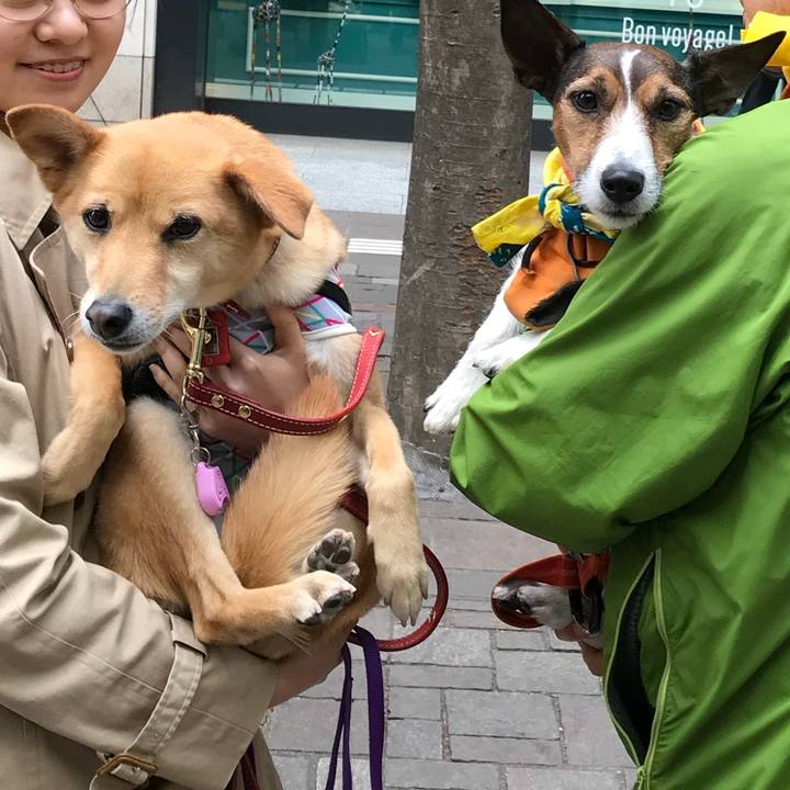 7f52ce63 6143 4f4f 8a80 1608e05fad3c 1555774445058