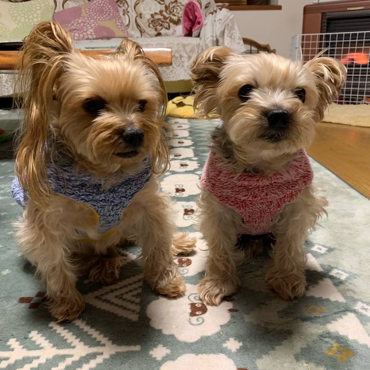 7f52d2d9 ab20 4265 bae4 d8a4bbaab801 1546243422386