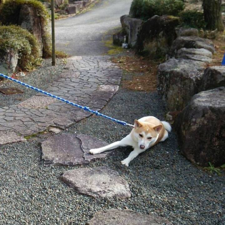 7f52f142 c187 4d0d 80ea eeb12d3db5a4 1514885759929