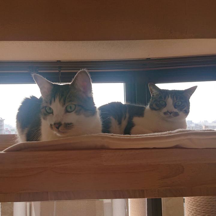 7f530c9d 4ec5 4b18 bee4 ded0ad40213e 1673309328309