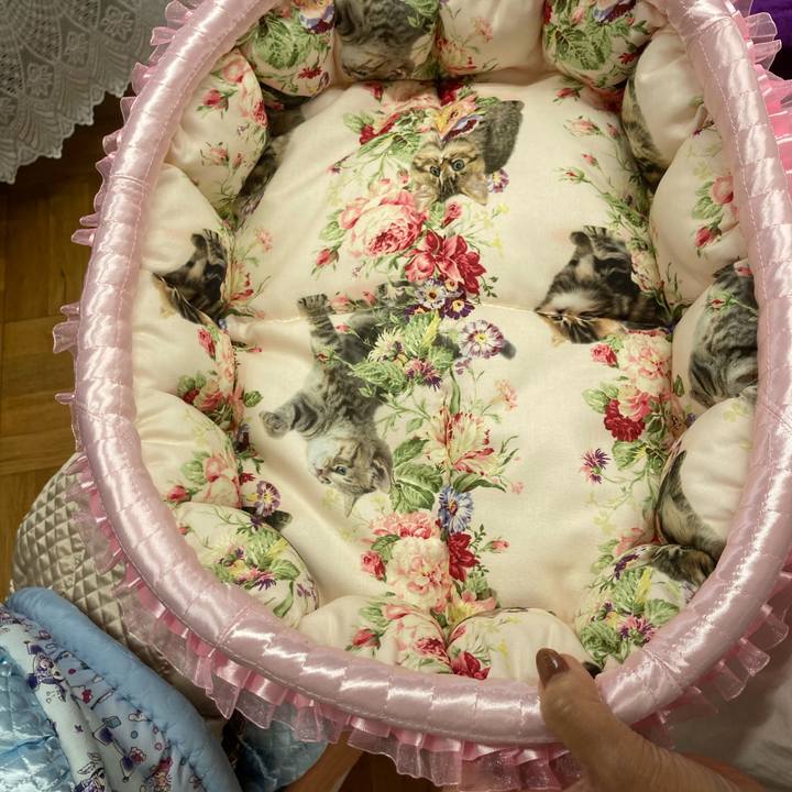 7f533e95 2383 4814 9016 d0b34a80d16e 1718077386486