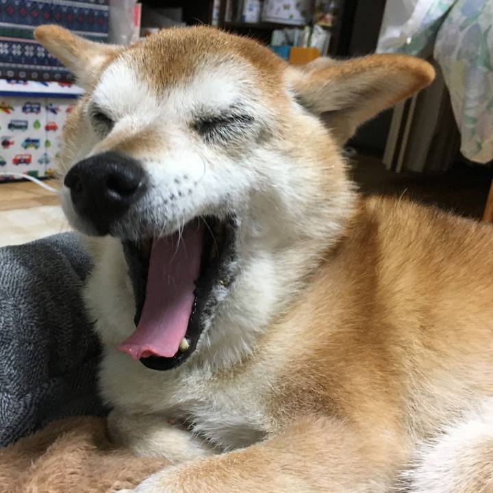 7f5360e6 b75d 43e8 8708 45266ae0fc83 1514512392606