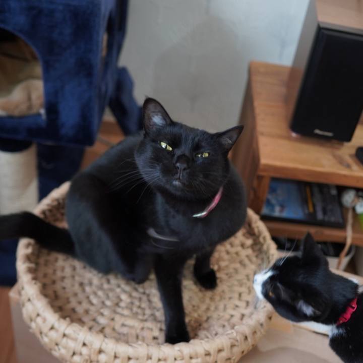 7f5365a0 e987 4db9 b00e 804235423e58 1590123044233