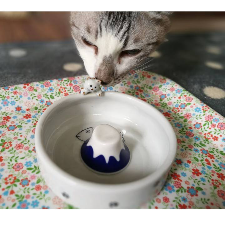 7f539c4e 4117 4048 905b 9158caeeda86 1550027239440