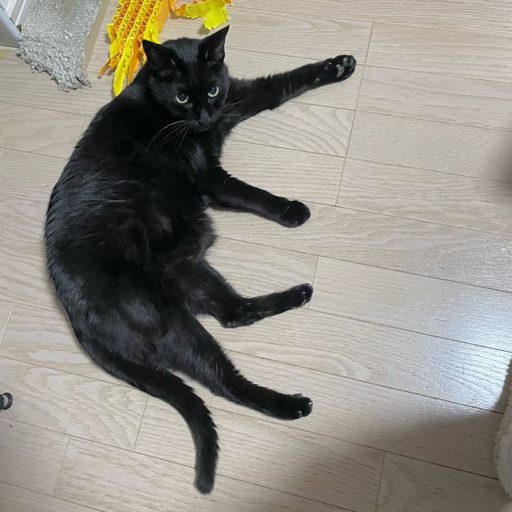 7f53d673 ea03 4c50 a248 c308e0649f52 1706011236136