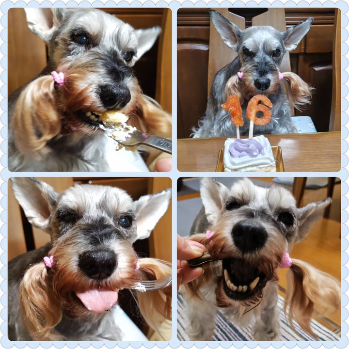 7f545a1e a3fa 4930 8d82 8d75d38f27f0 1758897706069