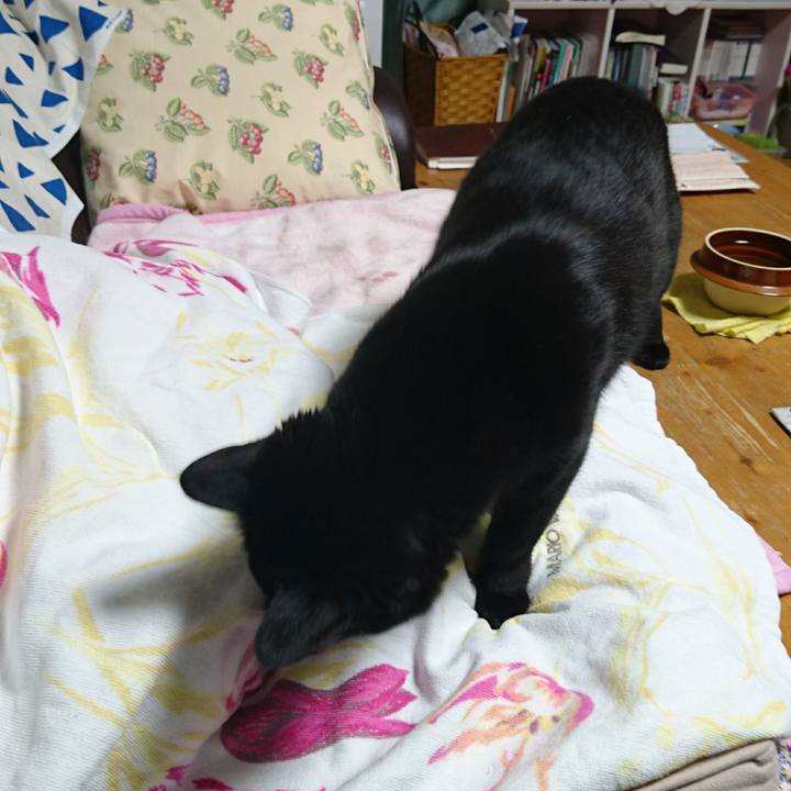 7f5463b0 5ba7 4ac2 8e4d 4383490f9019 1514813966214