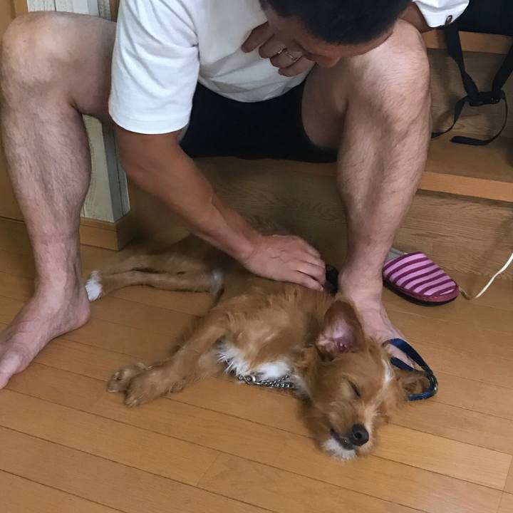 7f5488ae 6541 438f b13f 22b7fd99210e 1536228677937