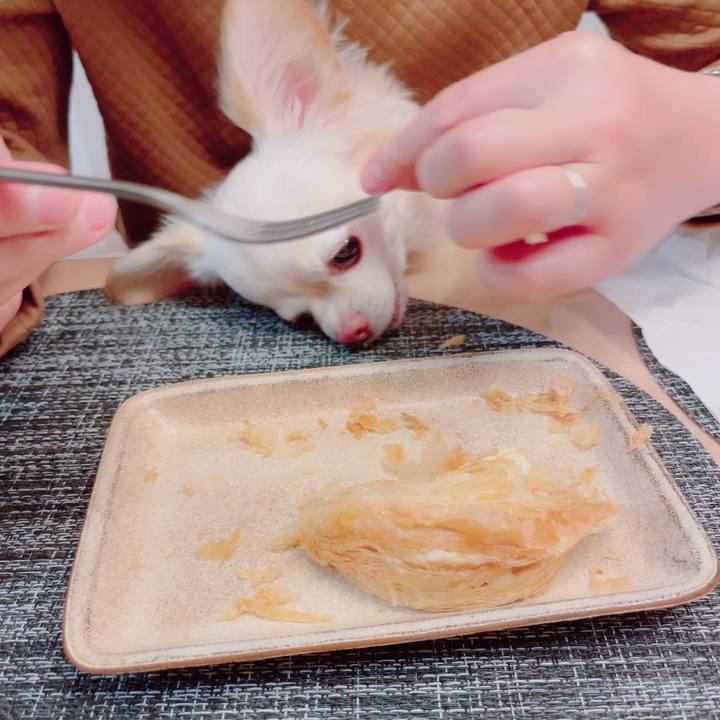 7f549e40 e62f 4d35 bfb2 795a65fbe394 1704801730061