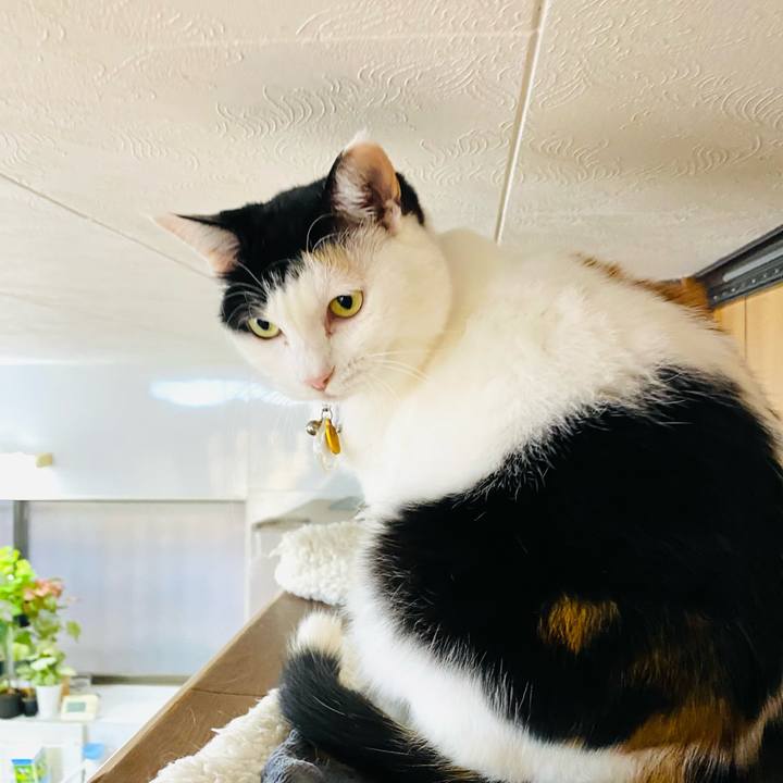 7f550ed3 ec96 467c a85b 21b6c290e92e 1732493659727