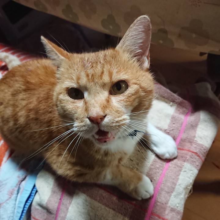 7f551342 4d2e 4037 a53f 1a97f5d9bff9 1604999877295