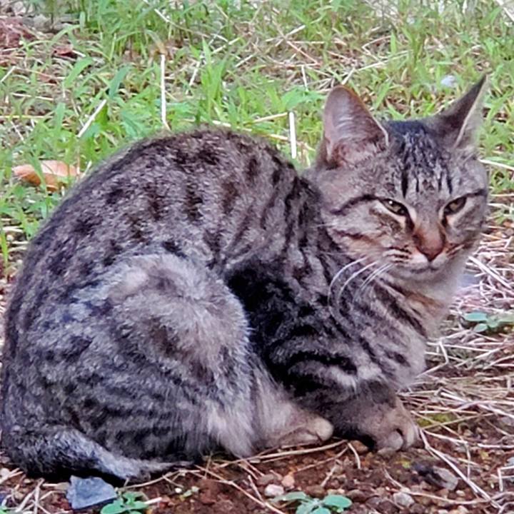 7f552abf 9f04 4321 a43f 3a61585f40fd 1684207133320