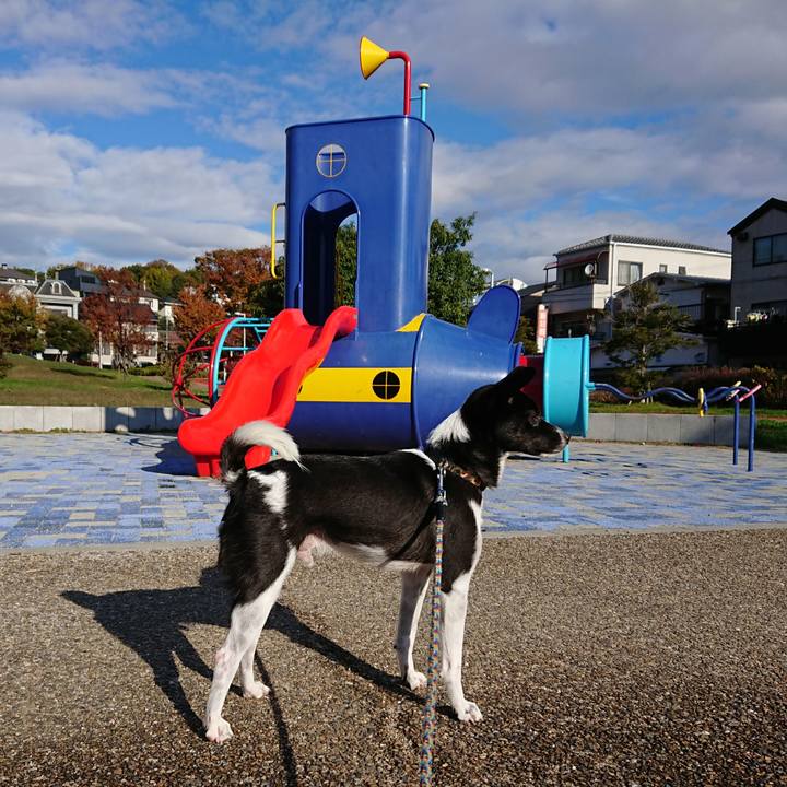 7f552eda 8f26 4788 9801 6ae02076cfd5 1511051655234