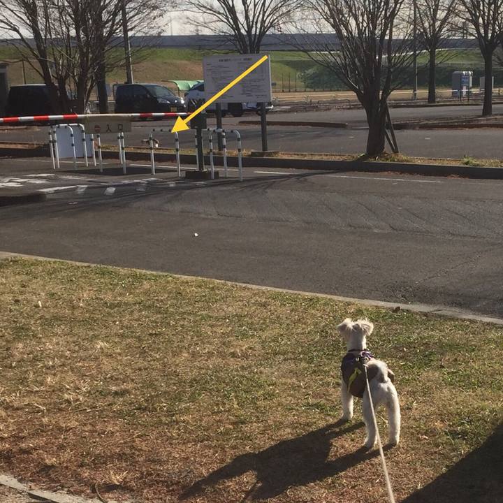 7f5537ef 90f3 4918 bd26 1f9fc07ff41b 1513577009144