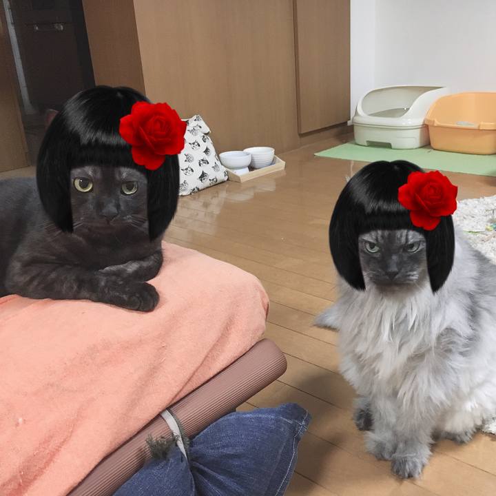 7f5566e2 88b7 473b 82ba 8cd5a2e195ec 1564582589036