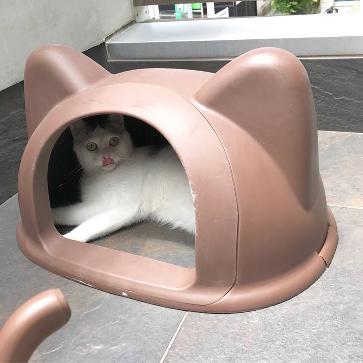 7f55f2d9 74a4 45ed 856f 6593ba954fac 1529377558573