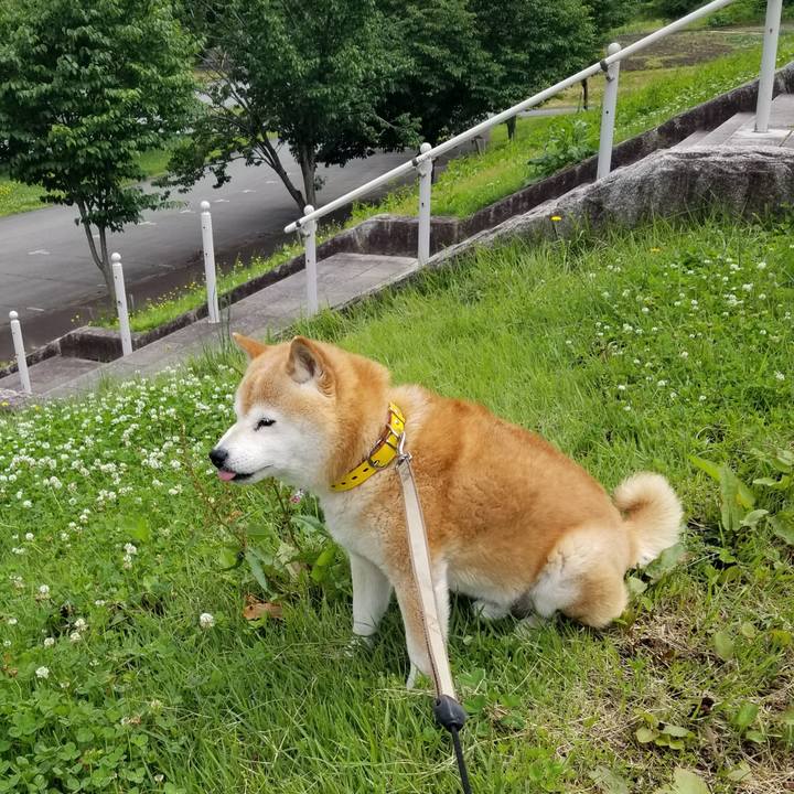 7f5640ae 34da 4548 9bc1 0b054b1b84e5 1686888772267