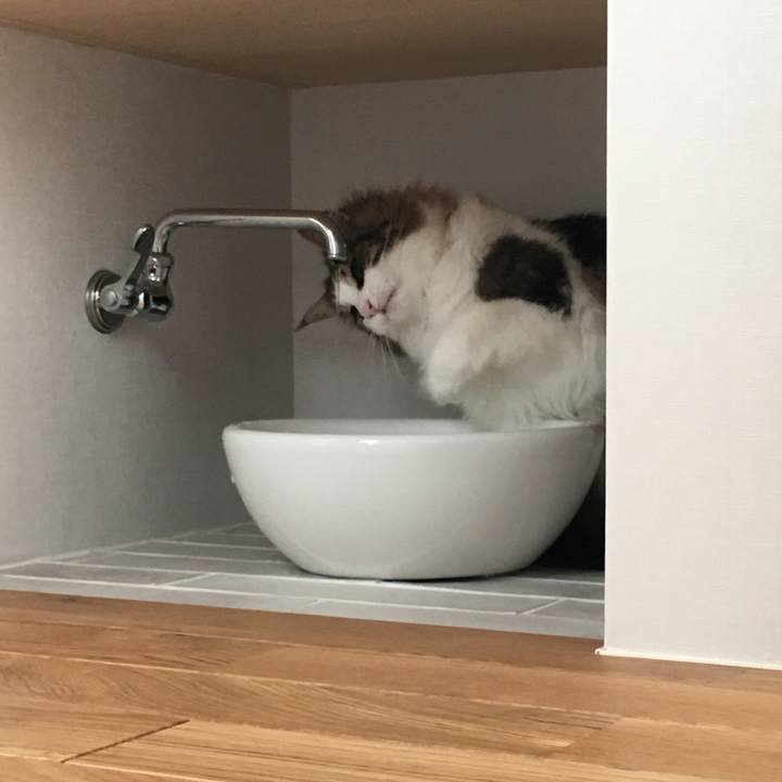 7f564654 9eee 4b1a ae68 33711760d46d 1516804637823