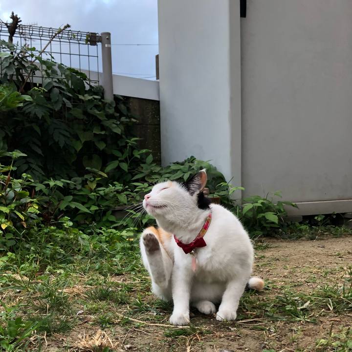 7f564689 9721 4601 a879 420cd360d504 1633039348423