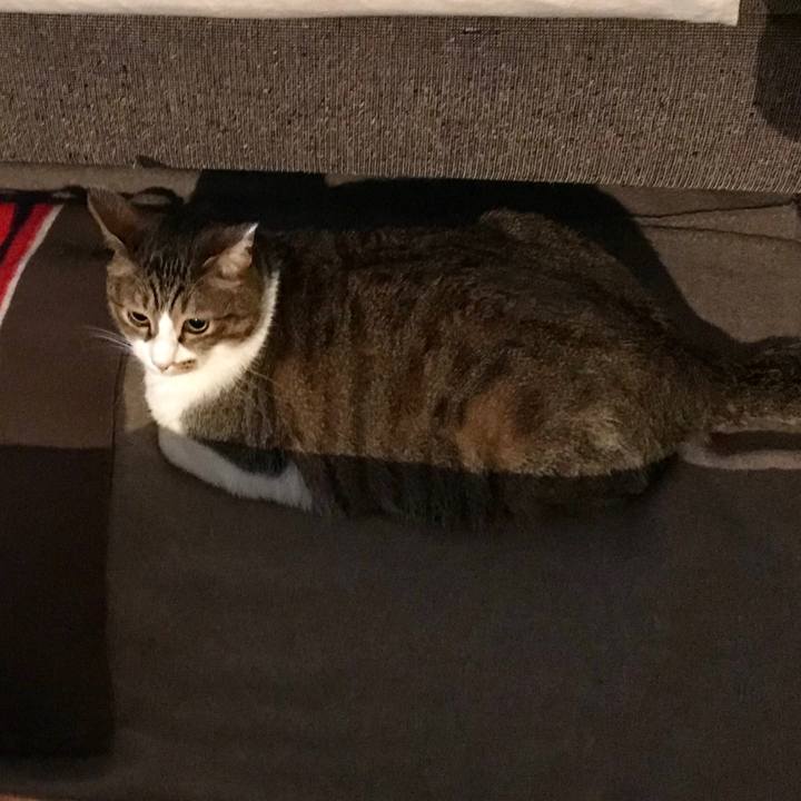 7f565658 a966 492d b3ae cb2317a6af1e 1552005008202