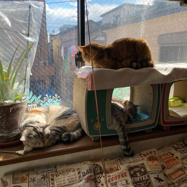 7f568a69 f53b 4a60 bfa5 34ee8076e42d 1645073716658