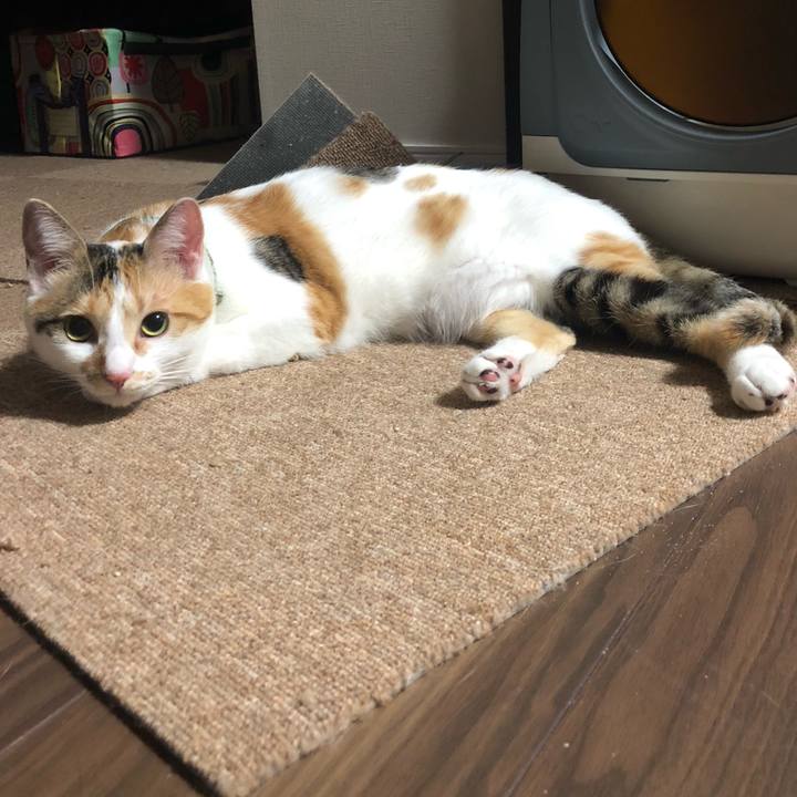 7f56936d 988b 4343 bb6f 02f0e80b58a9 1597849633232