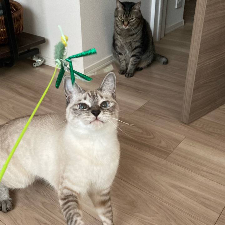 7f569ea1 1242 41fb abd9 70384c3ba558 1601089335495