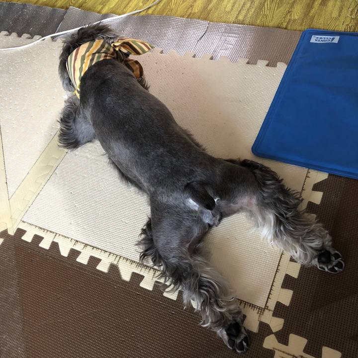 7f56b1a6 0f7c 4bd3 863e 391d7a13c469 1533442743648