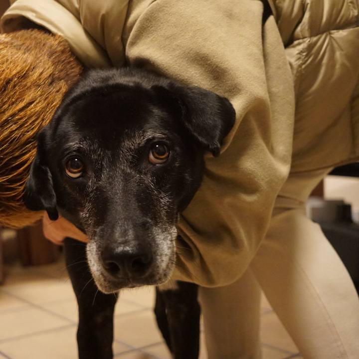 7f56b507 e614 4691 84ef 40d7a40c1d49 1764327974632