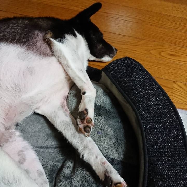 7f56bfcb 87f3 4548 97ce cd4b9d48cefa 1525273066631