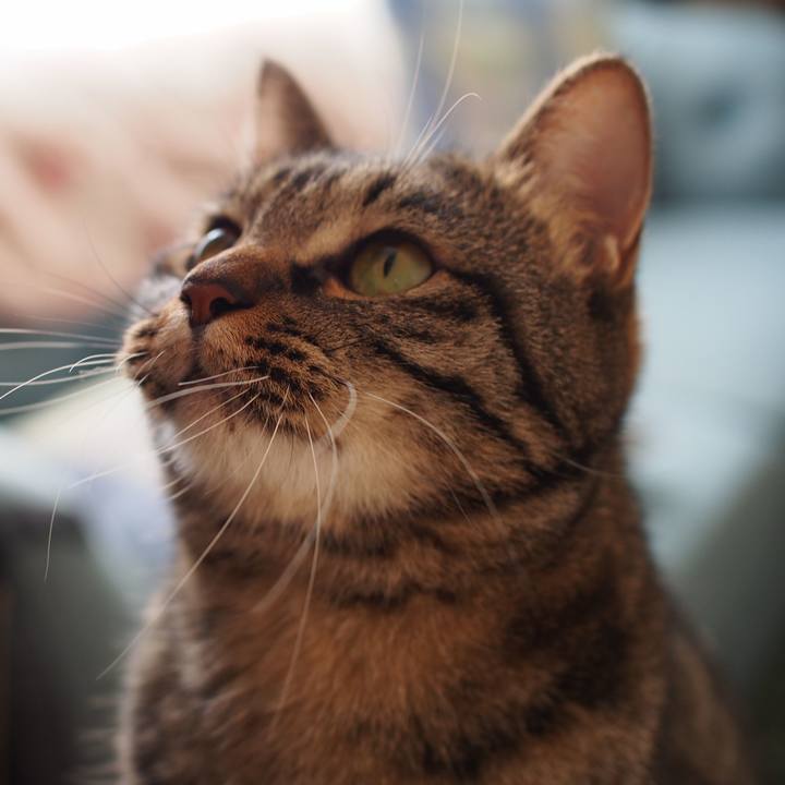 7f56c3c4 22c0 4533 be24 94608466ec80 1545882974444