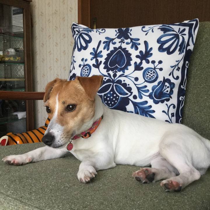 7f56df79 ac10 4af6 8441 6904cfe8dd60 1526455978690