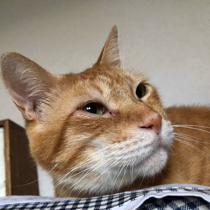 7f56f197 ce7c 4ac2 bea6 517c54f8ad92 1599689249990