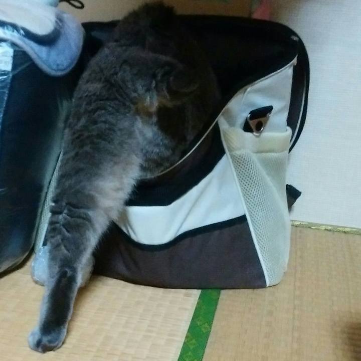 7f573956 c847 47d9 9547 832a2d35bc23 1537954102140