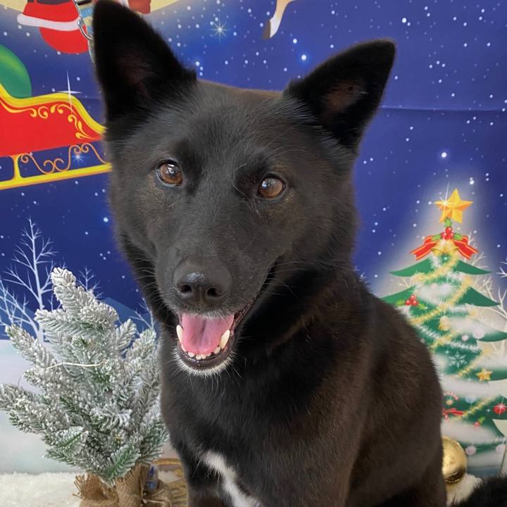 7f5768f1 735f 4f4a 81cb b78e113348c5 1608347201743