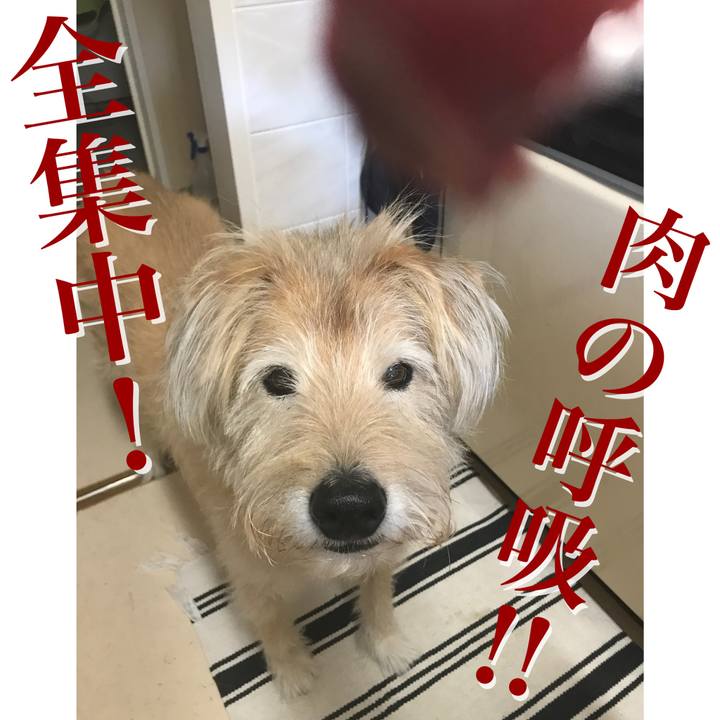 7f57760b ee67 461d 9b5b 9be56bf0c75a 1603775604997