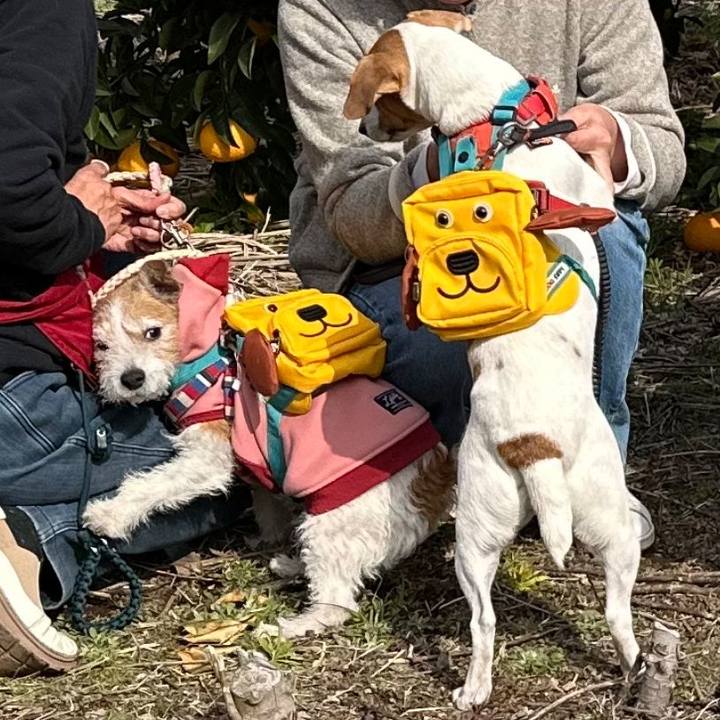 7f57837f bc45 4b71 8fef b56dcee4df3e 1771405272488