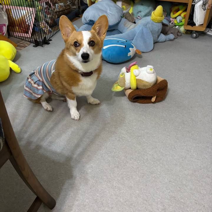 7f57c878 7bf5 4bee 8193 c9799ef07fec 1757718051295