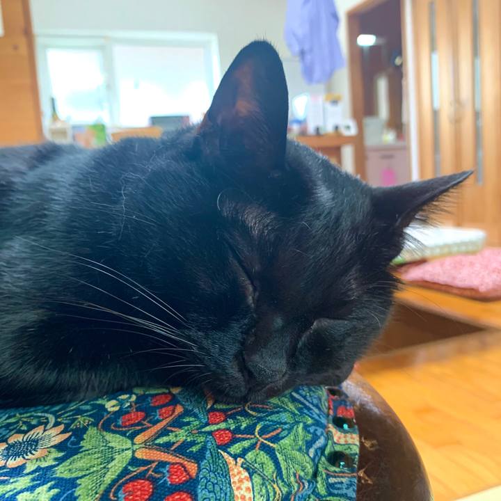 7f57da05 d575 4408 b9bb 2eda2abbf925 1601694651271