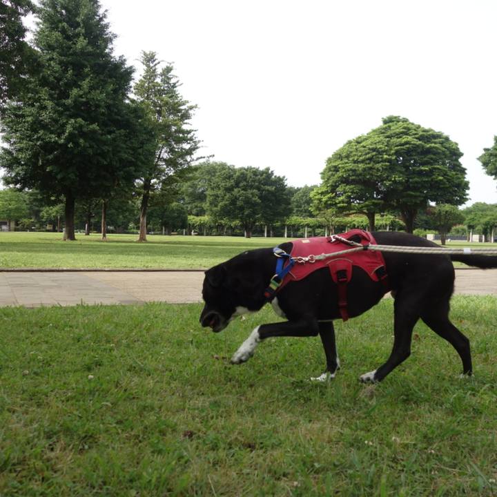 7f57e61a 8ff5 46ed af5f d214416a0f75 1685929241190