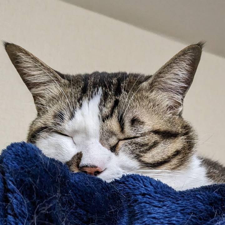 7f57ef78 c864 4a2c af59 3b5364077dac 1674555796261