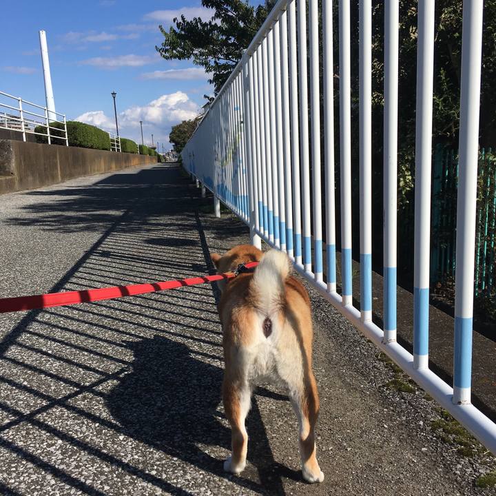 7f581934 a447 4c29 b6a5 acb30d714250 1603514383083