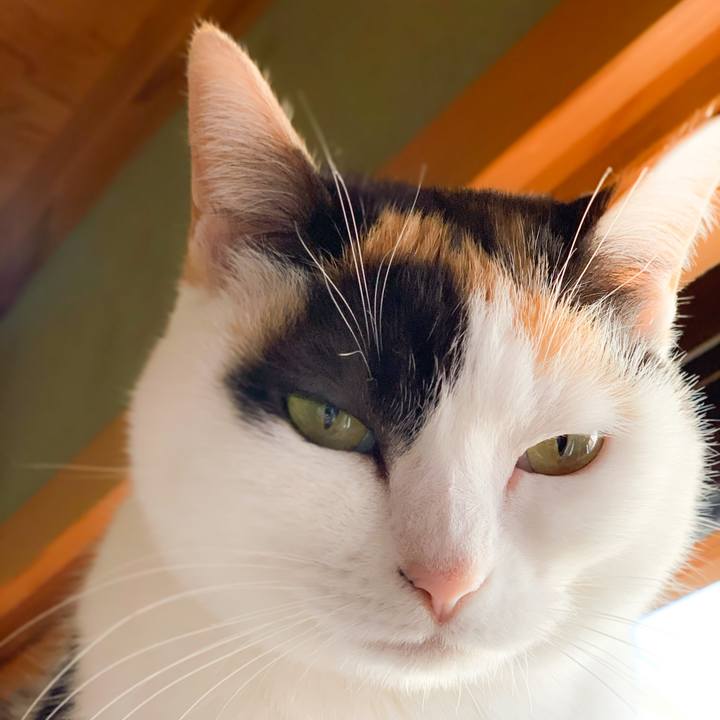 7f584f39 471e 4175 8227 dafd23e13049 1585621204191