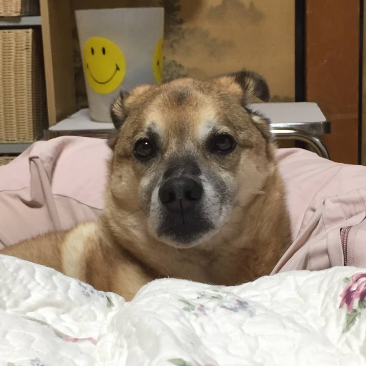 7f58a3a0 0379 44f6 bbcb c2ff498cc20f 1551616316920