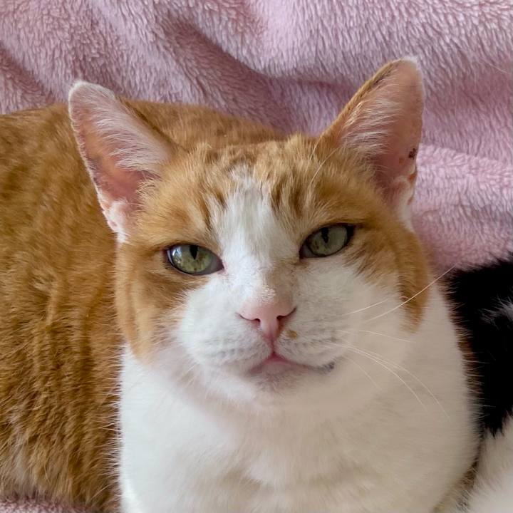 7f58a3c7 d7f2 4b25 9f55 fb356a22d88a 1710133787468