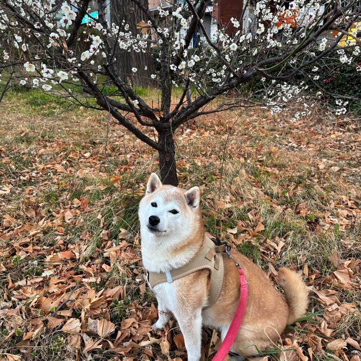 7f58dd15 5889 489a 85db 5e8dad443b49 1739914137665