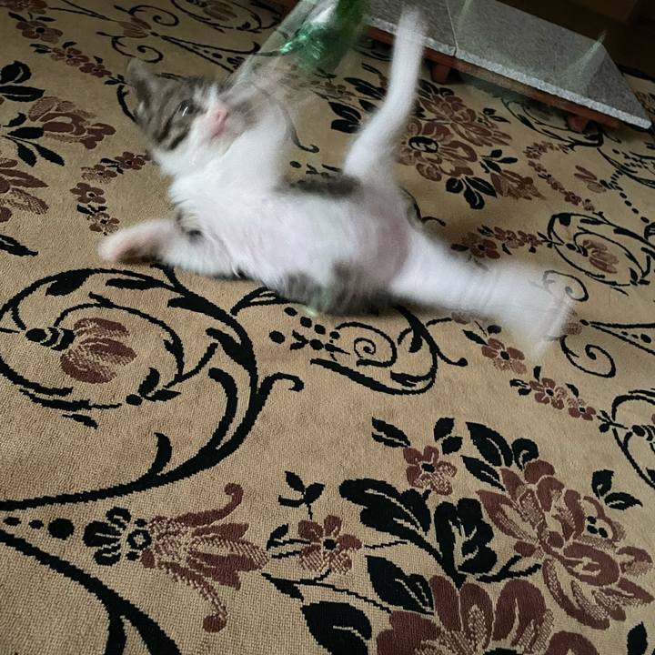 7f58de73 63bc 430e ac15 ab008fe3dd0d 1721136480479